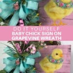 baby chick sign on a grapevine wreath with blue and pink bow